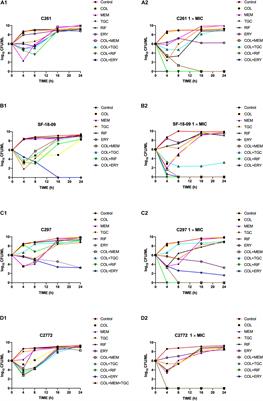 In vitro Synergistic Activity of Antimicrobial Combinations Against blaKPC and blaNDM-Producing Enterobacterales With blaIMP or mcr Genes